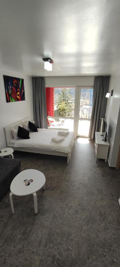 Belle View Sinaia-Free Parking Daire Dış mekan fotoğraf