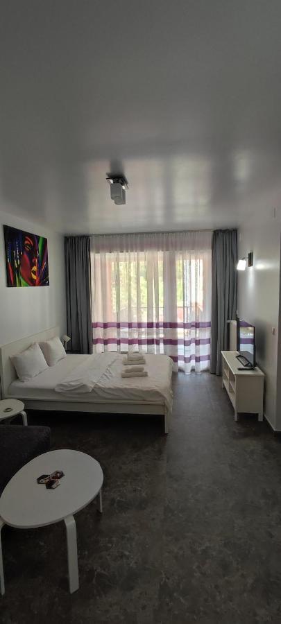 Belle View Sinaia-Free Parking Daire Dış mekan fotoğraf